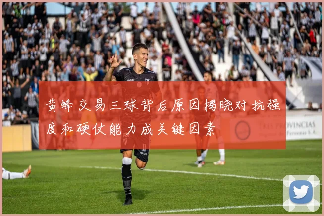 黄蜂交易三球背后原因揭晓对抗强度和硬仗能力成关键因素