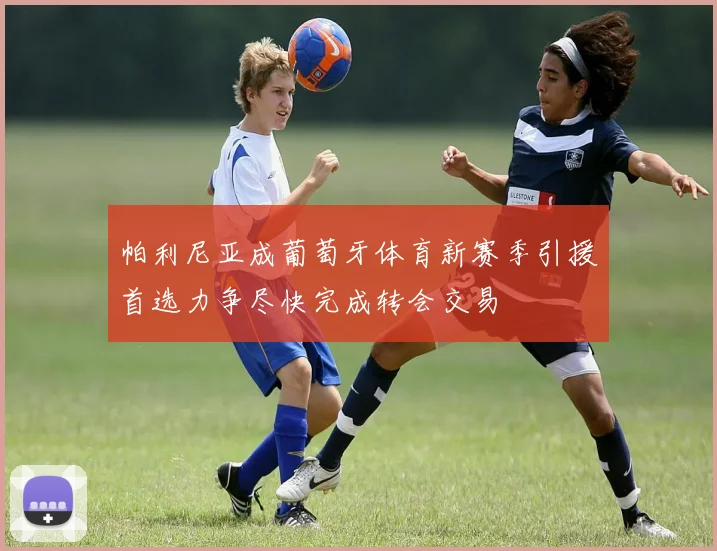 帕利尼亚成葡萄牙体育新赛季引援首选力争尽快完成转会交易