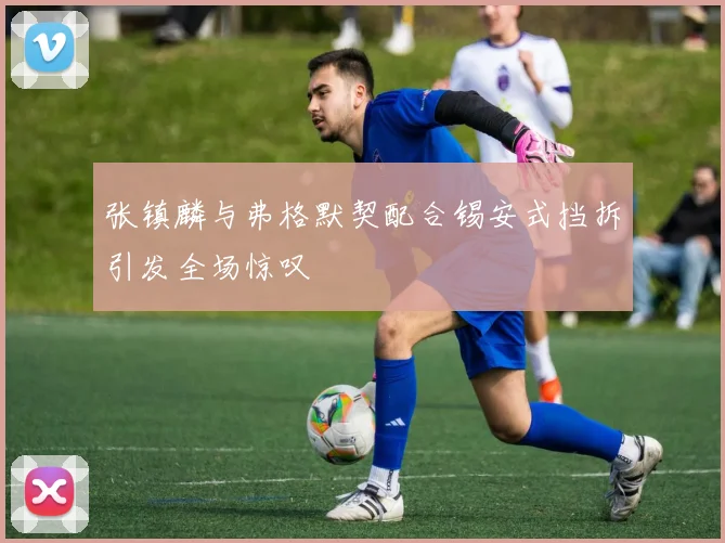 张镇麟与弗格默契配合锡安式挡拆引发全场惊叹