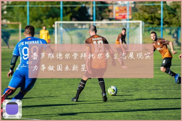 普罗维德尔崇拜托尔多立志展现实力争做国米新星